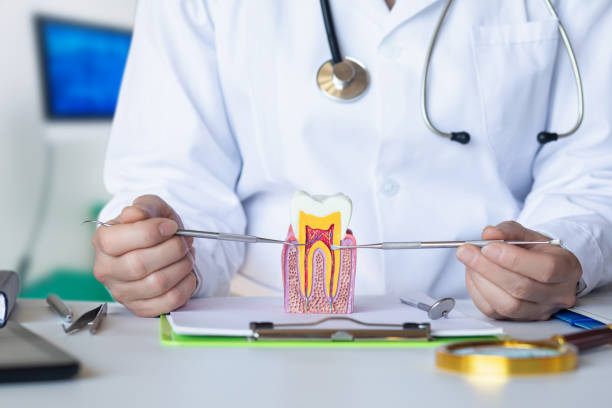 Best Emergency Cosmetic Dentistry in West Monroe, MI
